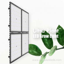 Deep Red LED Grow Light Spectrum for Flowering